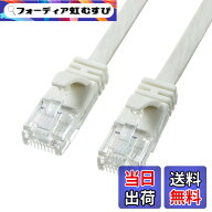 【送料無料】サンワサプライ CAT6A フラットLANケーブル モデム用 (5m) 10Gbps/500MHz RJ45 ツメ折れ防止…