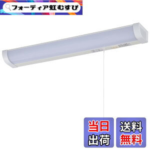 �y���������zLED�������� 20�` �����F �����Ђ��X�C�b�` �z���H���K�v_LT-NKL14D-HC 06-4022