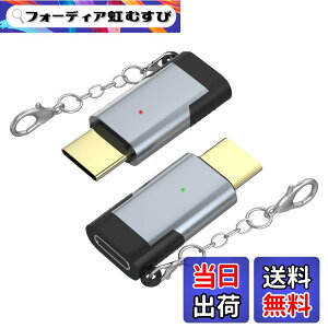 �y���������zARKTEK ���C�g�j���O �^�C�vc �ϊ��A�_�v�^�[ 2�Z�b�g ���C�g�j���O���� usb-c �ϊ� lightning (���X) type-c (�I�X) �ϊ��R�l�N�^ iPhone17 16�V���[�Y Galaxy S23 Note 20 Xperia 1 Pixel 7 Mate 40 OnePl
