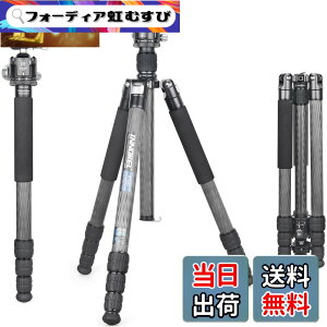 �y���������zINNOREL RT85C �J�[�{�� �O�r �{�[���_�� �L�b�g 184CM �g���x���O�r �v���� �i�b�g���b�N�� �G���x�[�^�[�� �ω׏d 25KG �l�i�r ��r�ώ� �p�C�v�a32mm ���y�� �^���� �o�R ��O �쒹 