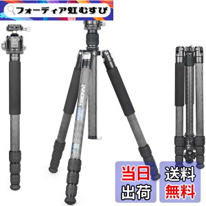 �y���������zINNOREL RT85C �J�[�{�� �O�r �{�[���_�� �L�b�g 184CM �g���x���O�r �v���� �i�b�g���b�N�� �G���x�[�^�[�� �ω׏d 25KG �l�i�r ��r�ώ� �p�C�v�a32mm ���y�� �^���� �o�R ��O �쒹 