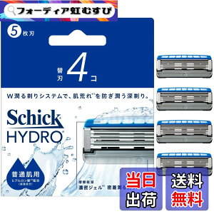 �y���������zSchick(�V�b�N) �n�C�h�� ���ʔ� �֐n�i4�R�j�j���p �E��� �J�~�\�� �F�F�V���o�[x�u���[
