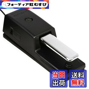 �y���������zRoland ���[�����h �_���p�[�y�_�� DP-10 �n�[�t�_���p�[�Ή� 2.2m�P�[�u�� �d�q�s�A�m �f�W�^���s�A�m �L�[�{�[�h �F�F�u���b�N