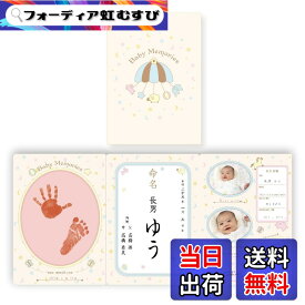 【送料無料】パイロットコーポレーション ベビートイ 色：おたんじょうきろく 命名紙セット、サイズ：ワンサイズ