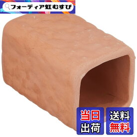 【送料無料】三晃商会 SANKO S62 テラコッタ トンネルS 色：無し、サイズ：無し