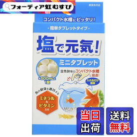 【送料無料】GEXジェックス 塩で元気 ミニタブレット 色：無し、サイズ：50錠