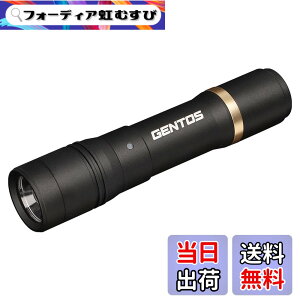 �y���������zGENTOS(�W�F���g�X) �����d�� LED���C�g �[�d�� 200~900���[���� ���N�V�[�h RX-285R/RX-286R/RX-304R/RX-386R/RX-486PB �F�F�u���b�N�A�T�C�Y�F���a30.1x135.7mm