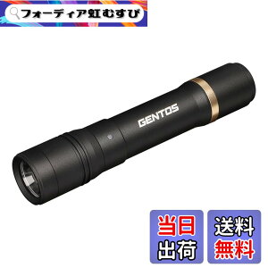 �y���������zGENTOS(�W�F���g�X) �����d�� LED���C�g �[�d�� 200~900���[���� ���N�V�[�h RX-285R/RX-286R/RX-304R/RX-386R/RX-486PB �F�F�u���b�N�A�T�C�Y�F���a30.1x150.4mm