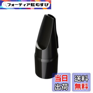�y���������zRoland ���[�����h Aerophone��p�}�E�X�s�[�X �G�A���t�H�� OP-AE05MPH