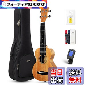 �y���������zEnya �}�z�K�j�[�E�N���� �F�F�؂̐F�\�v���m�E�N�����A�T�C�Y�F�\�v���m