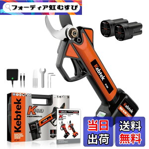 �y���������z�y�y��880g�E���{���t�b�f�n�zKebtek �d������o�T�~ 16.8V �R�[�h���X �[�d������΂��� 2500mAh���`�E���d�r2�t�� �d���}�؂��� �y0.4�b�����ؒf�z�v�� ������ ���| ���� �ʎ��� 