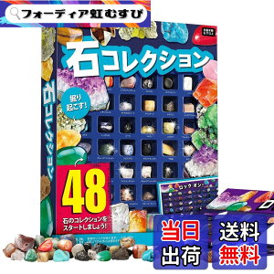 �y���������zXXTOYS �z�ΕW�{48�� �i�V���i���W�I�O���t�B�b�N�V�R�z�� ��΂������� ��ΕW�{ �N���X�}�X �v���[���g ���b�N���~�l���� �R���N�V���� �W�F���X�g�[�� �n���Ȋw�L�b�g 48�Z