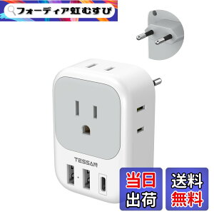 �y���������z�ϊ��v���O �C�O���s�p c/bf/se/o�^�C�v USB�t�����s �֗��O�b�Y �F�F�O���[�A�T�C�Y�F2USB-A+USB-C