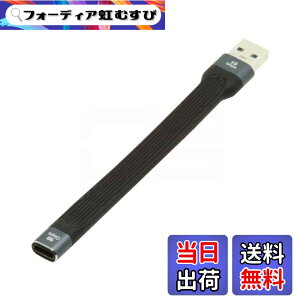 �y���������zCablecc USB-C Extension Cable Flat Slim FPC Data Cable for Laptop & Phone 13cm �F�FBlack Type C Female to Type A Male 10Gbps