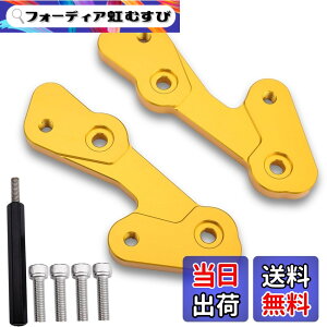 �y���������zLEDISHUN �o�b�N�X�e�b�v �A�W���X�^�[ 30mm �A�b�v 25mm �o�b�N �J���T�L ZX-25R(2020-2023) ZX-4R ZX-4RR (2023+)�ɓK�p �F�F�S�[���h