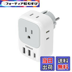 �y���������z�ϊ��v���O �C�O���s�p c/bf/se/o�^�C�v USB�t�����s �֗��O�b�Y �F�F�O���[�A�T�C�Y�F2USB-A+USB-C