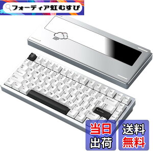 �y���������z�yWOBKEY Rainy 75�L�[�{�[�h�z�J���̂悤�ȑŌ��� ���J�j�J���L�[�{�[�h 3WAY�ڑ� OS�݊��� �z�b�g�X���b�v��VIA�̑Ή� �J�X�^�}�C�Y�� �K�X�P�b�g�f�U�C�� �A���~�j�E���f�ގg�p RG