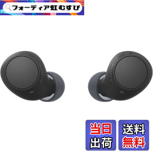 �y���������z�\�j�[(SONY) ���S���C�����X�C���z�� WF-C500/WF-C510 :/�����x�ʘb�i��/IPX4�h�H���\ �F�F�u���b�N�A�T�C�Y�F���^�y��