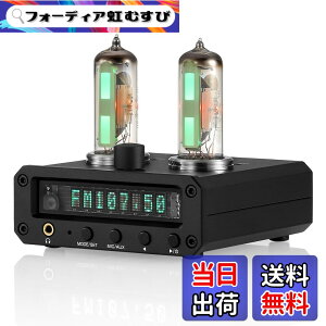 �y���������zNobsound P2-FM 6E2 �^��� �v���A���v �X�e���I �w�b�h�z���A���v �T�E���h���x���C���W�P�[�^�[ FM���W�I ���v clock �N���b�N MIC/AUX �u�����v �F�F�u���b�N�A�T�C�Y�FMINI