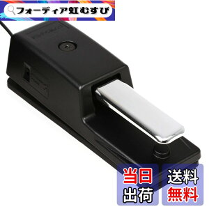 �y���������zRoland ���[�����h �_���p�[�y�_�� DP-10 �n�[�t�_���p�[�Ή� 2.2m�P�[�u�� �d�q�s�A�m �f�W�^���s�A�m �L�[�{�[�h �F�F�u���b�N