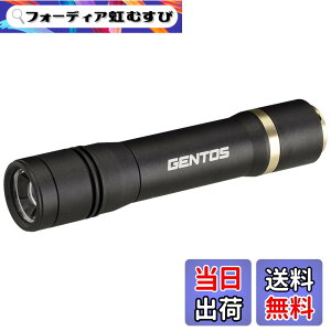 �y���������zGENTOS(�W�F���g�X) �����d�� LED���C�g �[�d�� 200~900���[���� ���N�V�[�h RX-285R/RX-286R/RX-304R/RX-386R/RX-486PB �F�F�u���b�N�A�T�C�Y�F���a29.5x141.8mm