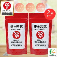 【まとめ買いクーポン配布中】銀座まるかん 歩き元気ギックリ楽らく（大）240g 約950粒 2袋セット ひざ …