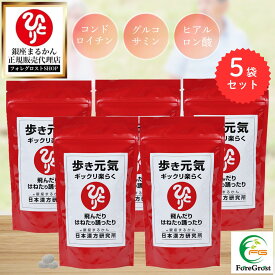 【まとめ買いクーポン配布中】銀座まるかん 歩き元気ギックリ楽らく（大）240g 約950粒 5袋セットひざ 腰 サプリメント 斎藤一人 ひとりさん コラーゲン コンドロイチン グルコサミン ヒアルロン酸 粒 栄養補助食品 健康食品 サプリ 栄養