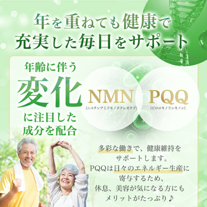 楽天市場】【まとめ買いクーポン配布中】【リニューアル1月初旬、新 