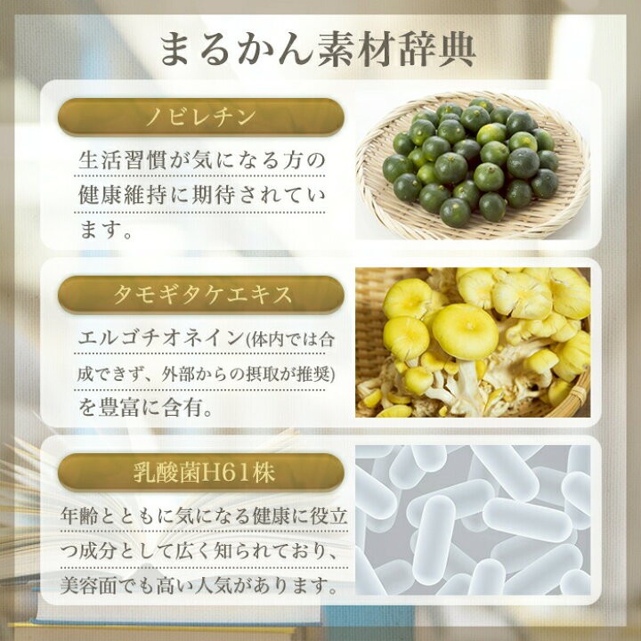楽天市場】【まとめ買いクーポン配布中】【リニューアル1月初旬、新 