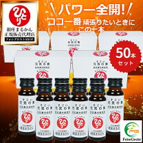 楽天市場】翔龍 まるかんの通販 