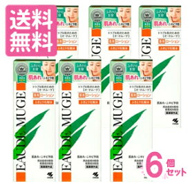 【送料無料】小林製薬　オードムーゲ 薬用ローション （ふきとり化粧水） 500ml ×6本セット【医薬部外品】(配送区分:A)