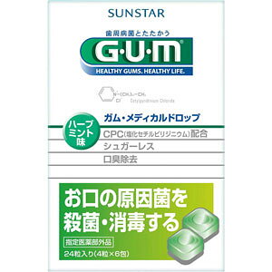 KEfBJhbv n[u~g 24 (򕔊Oi)(z敪:A2)