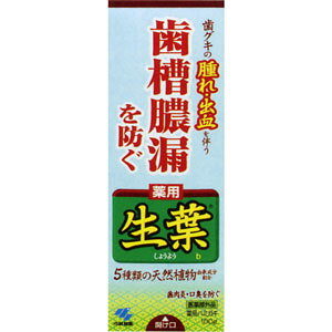 p݂ t 100g(z敪:A2)
