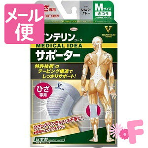 oeT|[^[@Ђp@ӂTCY@Vo[O[mlR|Xz2n