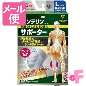 oeT|[^[@Ђp@傫߃TCY@Vo[O[mlR|Xz2n