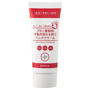 vEƖp@蔧̍rhnhN[N@60gmlR|Xz2n