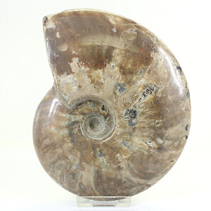 VR }_KXJY VF AiCg΁k VR p[Xg[ ANZT[ l