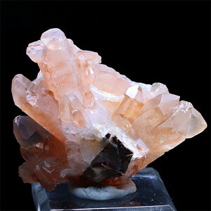 kD452-21lRgY ^WFNH[c NX^[ }_NH[c Tanjerine Quartz y[֕sz