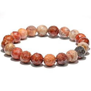 kK1999-9ml킢 9mm tHbVR[ Jbg uXbg ΎX Fossil coral