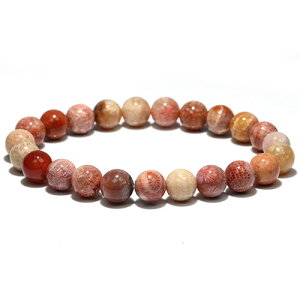 kK2000l킢 8mm tHbVR[ uXbg ΎX Fossil coral