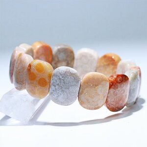 kK2001-1l킢 tHbVR[ oO uXbg ΎX Fossil coral