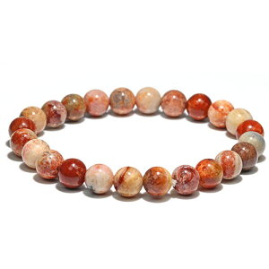 kK2004l8mm tHbVR[ uXbg ΎX Fossil coraly_z