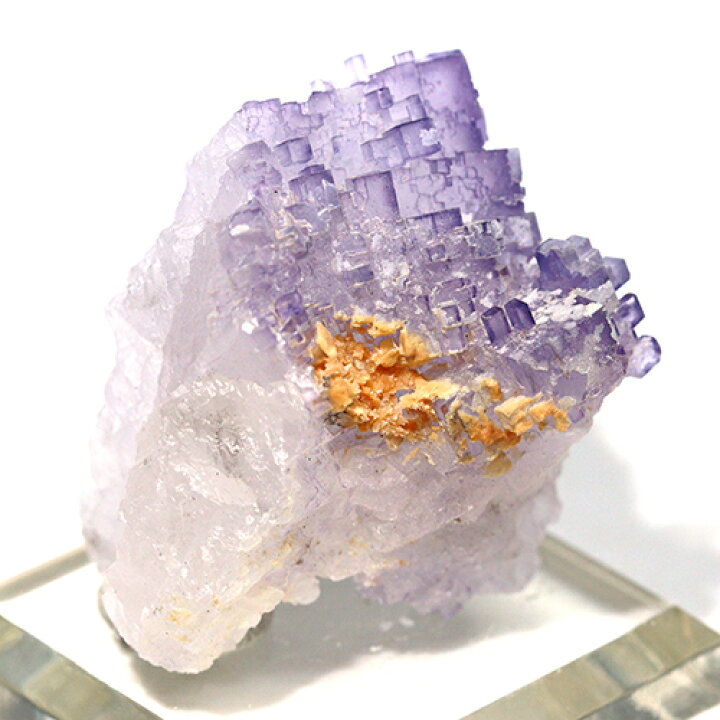 楽天市場】〔D480-10〕メキシコ・ムスキス産 Fluorite フローライト 