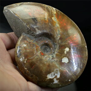 VR }_KXJY VF AiCg΁k VR p[Xg[ ANZT[ l