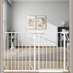 Gt xr[ xr[Q[g t122-134cm 78cm Ki ˂莮 I[gN[Y@\ J Ԃ Q[g oAt[  gt zCg