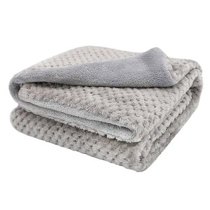 yzybgp ѕzA uPbgA  Lp ѕzA^IA}bgANbVAybg xbh hp zc A\tgAg ӂӂ ʋC lGKpAdzݔ (MF60x 80c