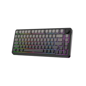 yzEA75 75% RGB Q[~OJjJL[{[h mut 2.4GHz/Type-C/Bluetooth N[~[CXL[{[h PBTL[Lbv Q[}[zbgXbvΉ ZKF؎