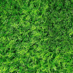 yz4E50x50cm TCY lHÃ}bg EH[O[ tFCNO[ lHϗtA Ő Op (Wjp[&V_)