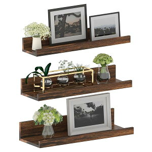 yzGIFT GARDEN EH[VFt I U^  40cm  I bN { A ʐ^ G /rO/Lb`/ʏ ɓKp k  CeA 3_ Zbg uE