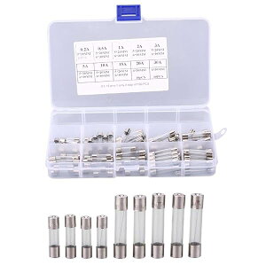 yz100Zbg KXq[Y KX q[Y ԗpq[Y `[uLbg 5 x 20mm 6 x 30mm lߍ킹 ~bNX 0.2A 0.5A 1A 2A 3A 5A 10A 15A 20A 30A